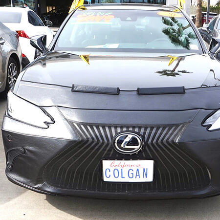 Lexus Car Bras