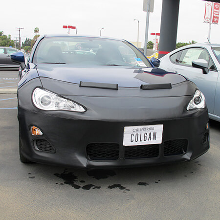 Scion Car Bras