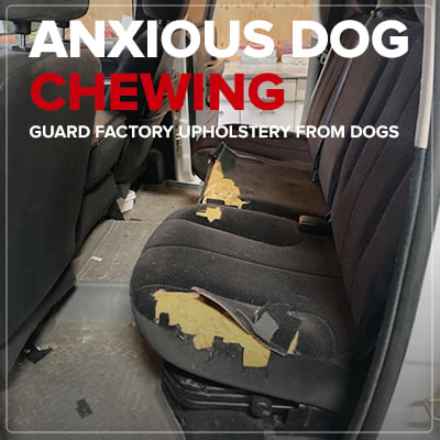 Dog Defense