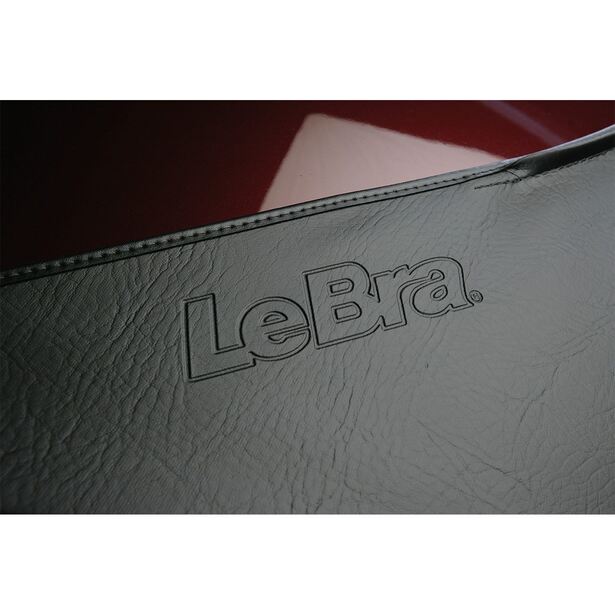 LeBra Custom Hood Protector