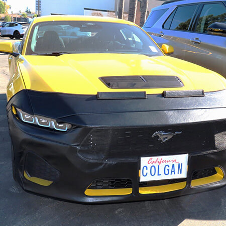 Ford Car Bras