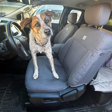 Ford Ranger Seat Covers
