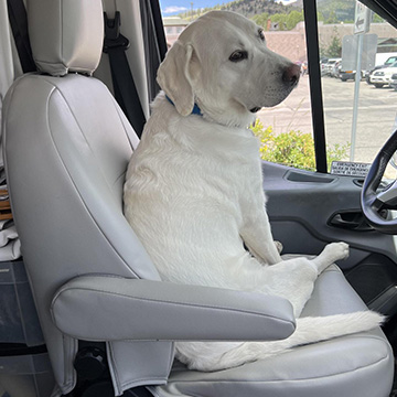 Ford Transit 350 Seat Covers