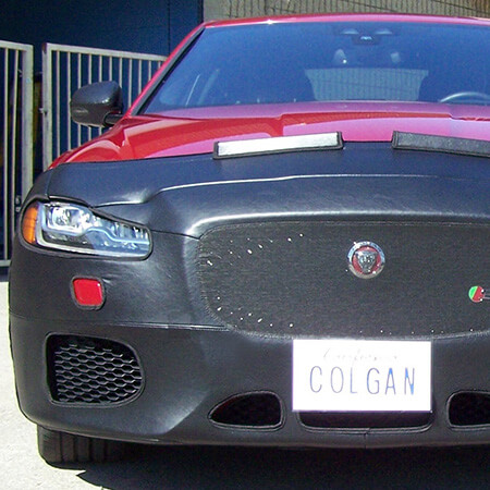 Jaguar Car Bras