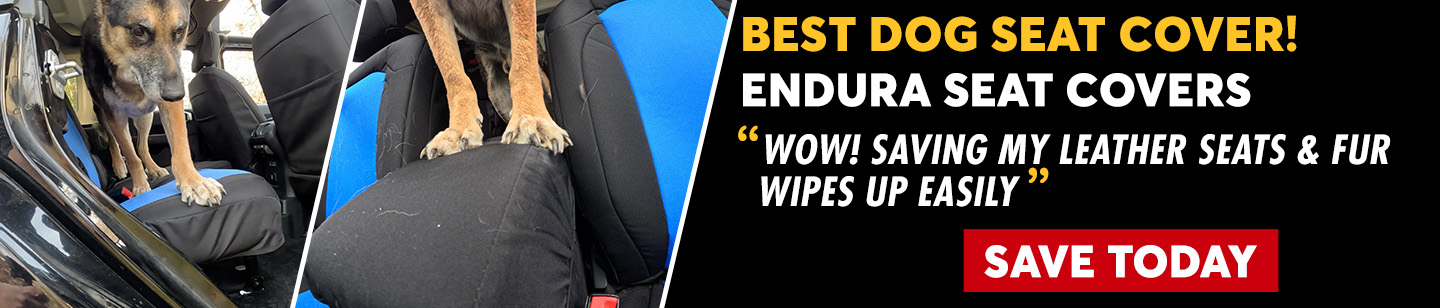 The Best Dog Seat Covers